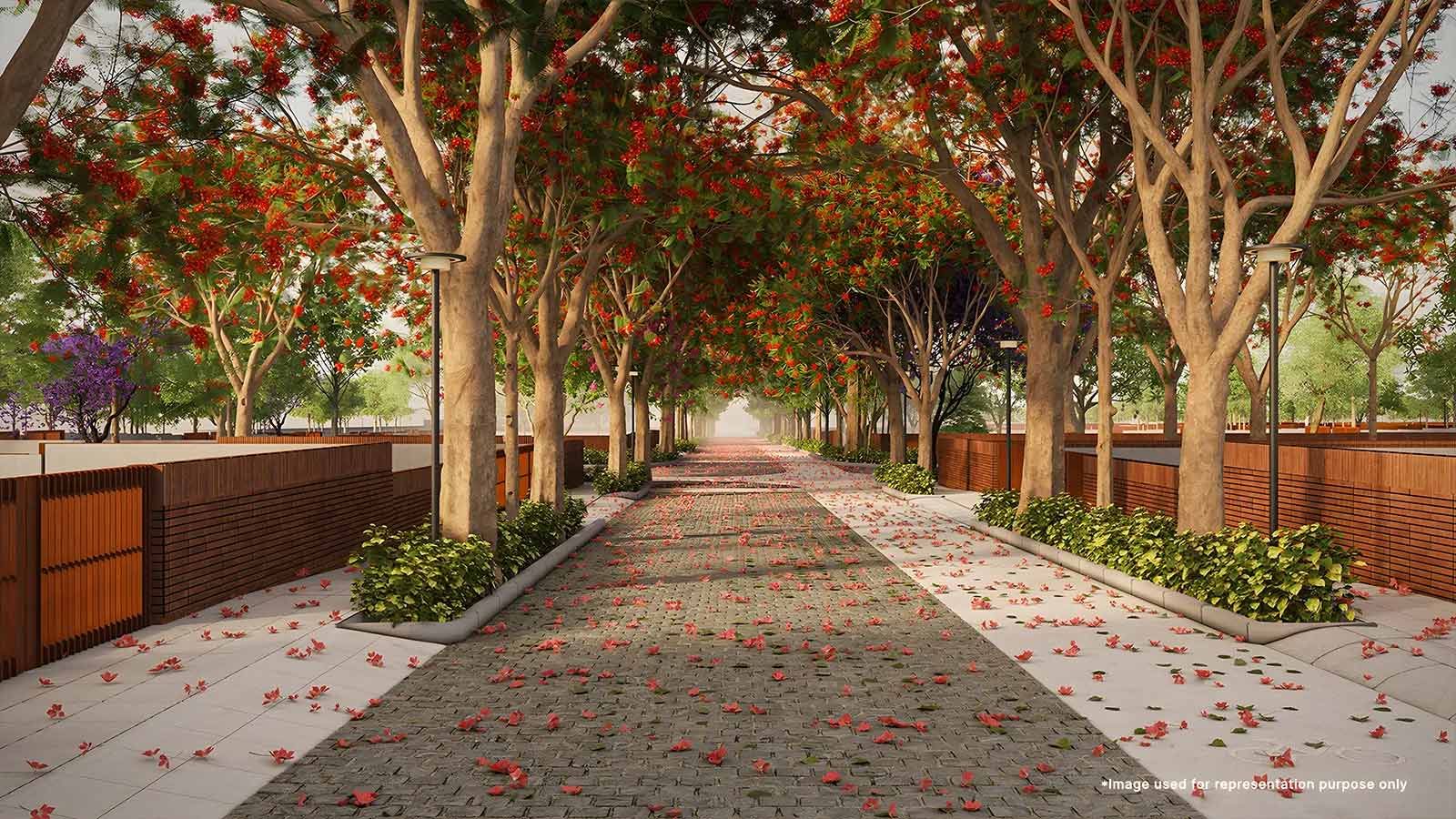 Total Environment Plots 1